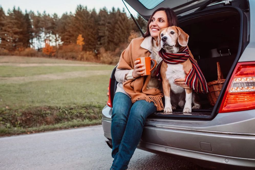 Pet Transport