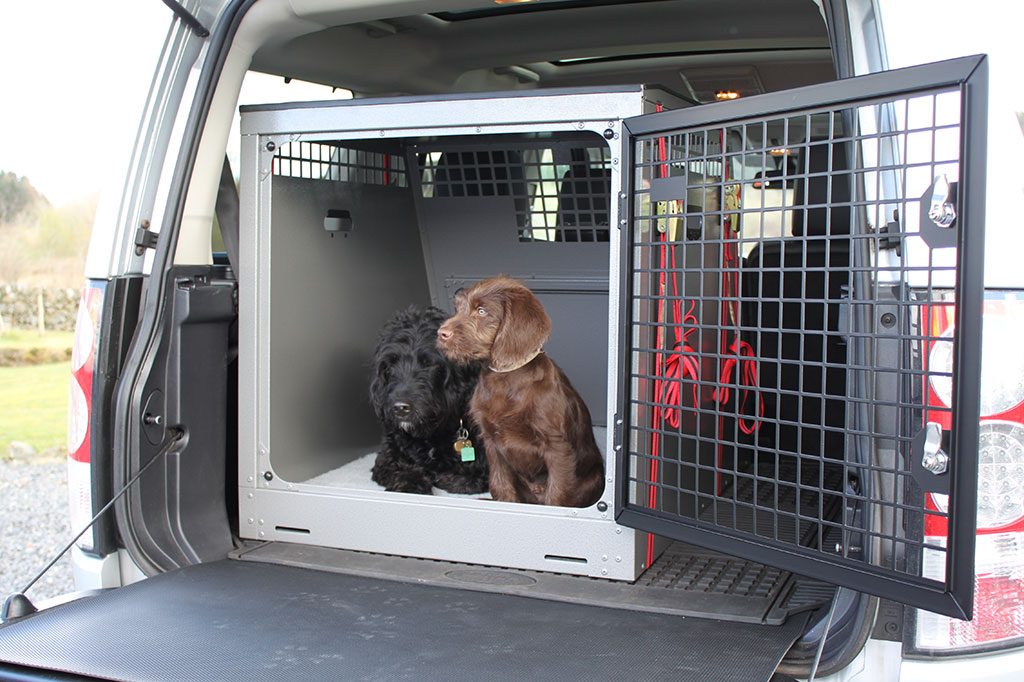 door to door pet transport