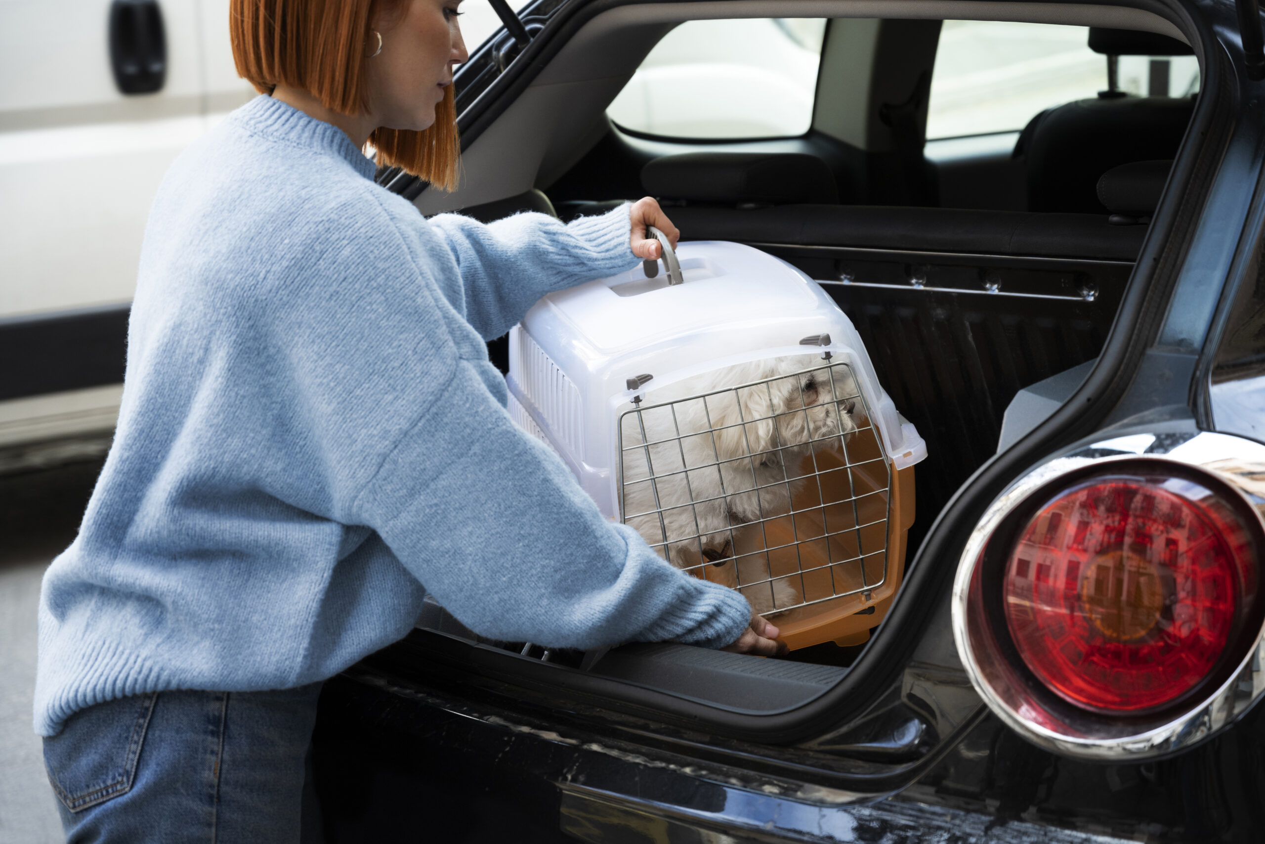 Pet Emergency Transport